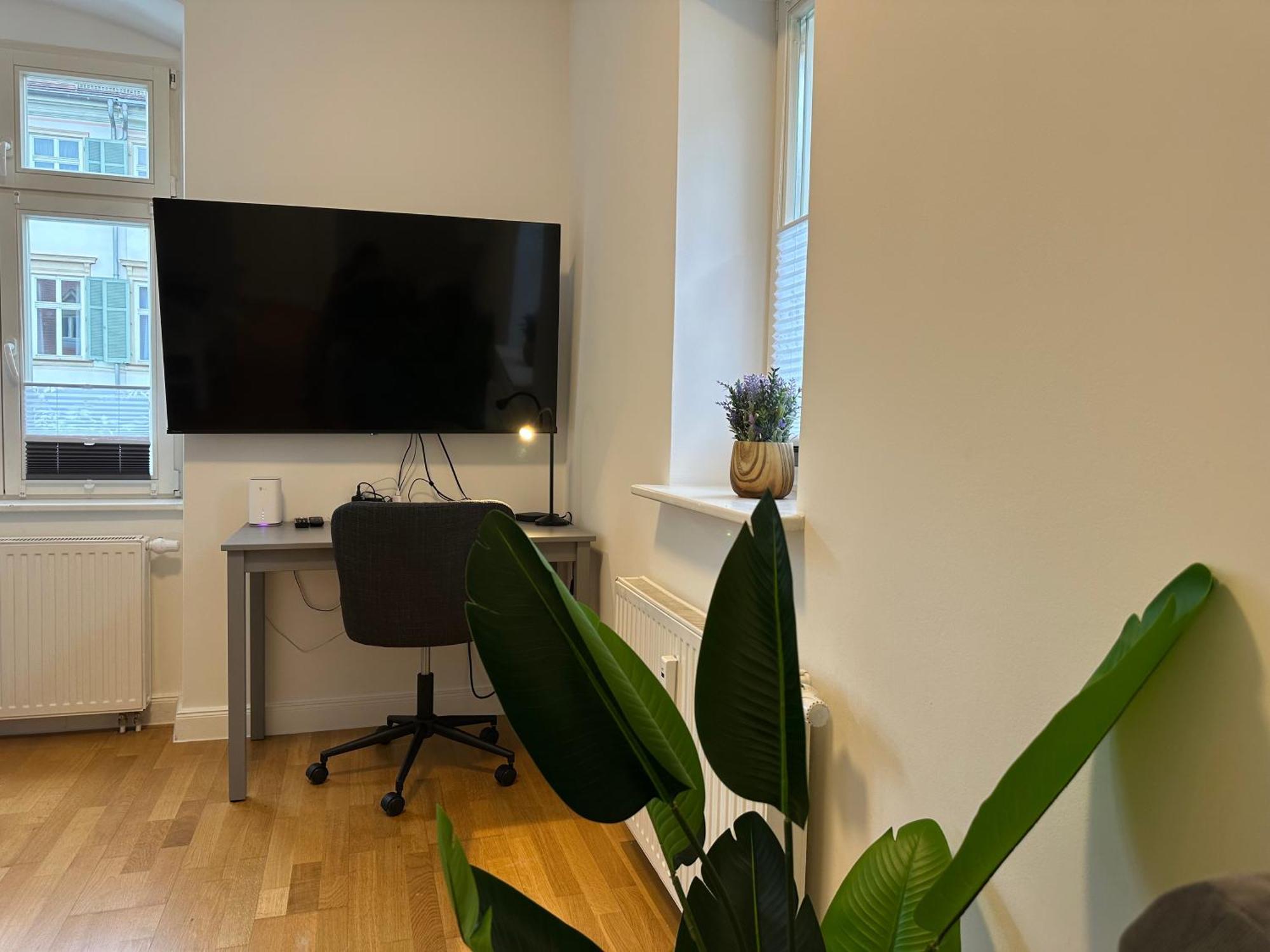 Bella Casa - Business&Family, 100M Zum Konzerteingang Schloss, Parkplatz, Smarttv, Netflix, Waschmaschine, 24H Checkin, 36Qm, Ap 12 루드빅스부르크 외부 사진